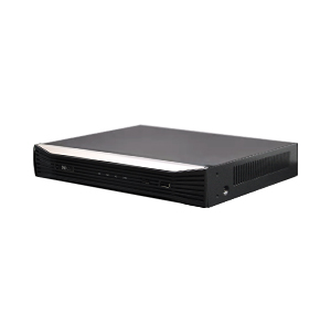MGI04031 P
