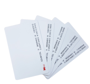 CDUM133L hybrid proximity access card uses UHF and Mifare technology designed for long-range AR300U Xclone use.