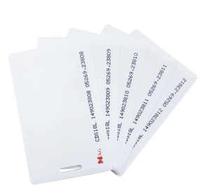 CDS18L long-range EM card provides extended proximity access distance with printed WG numbers.