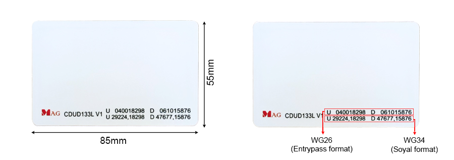 CDUD133L – UHF (ANTI CLONE) AND DESFIRE® EV1 HYBRID CARD 1 CDUD133L Product Feature2 New
