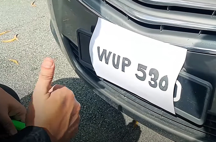 Fake plate number